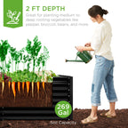 Outdoor Metal Raised Garden Bed for Vegetables, Flowers, Herbs - 6x3x2ft