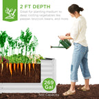 Outdoor Metal Raised Garden Bed for Vegetables, Flowers, Herbs - 6x3x2ft