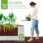 Outdoor Metal Raised Garden Bed for Vegetables, Flowers, Herbs - 6x3x2ft
